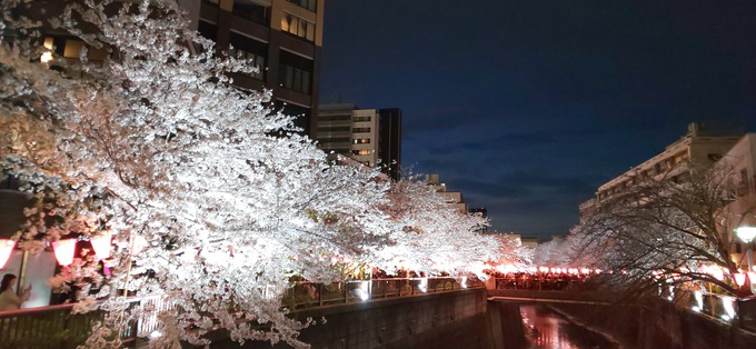 恵比寿の森ピアノ教室